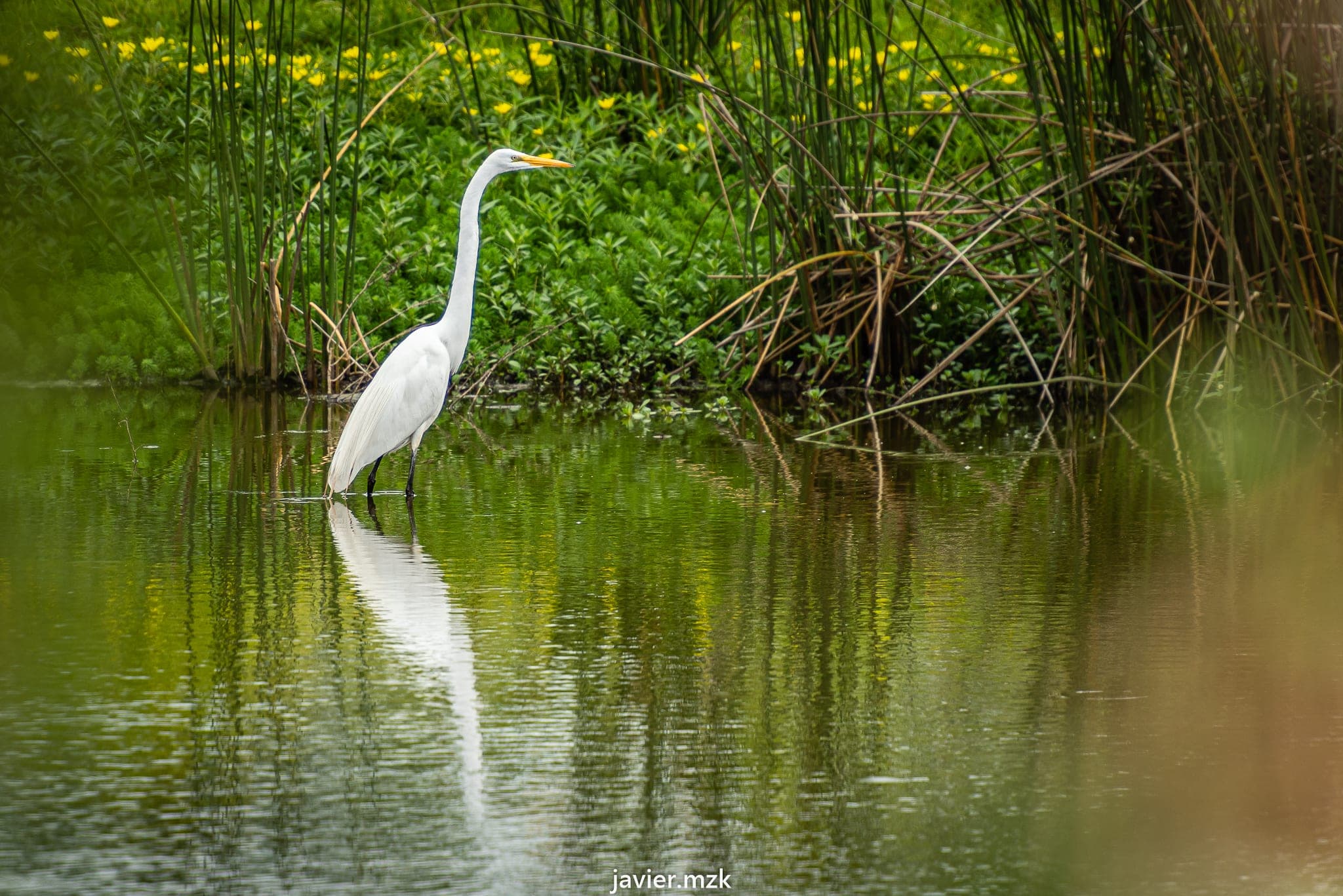 Reserva Aguada de los Pájaros