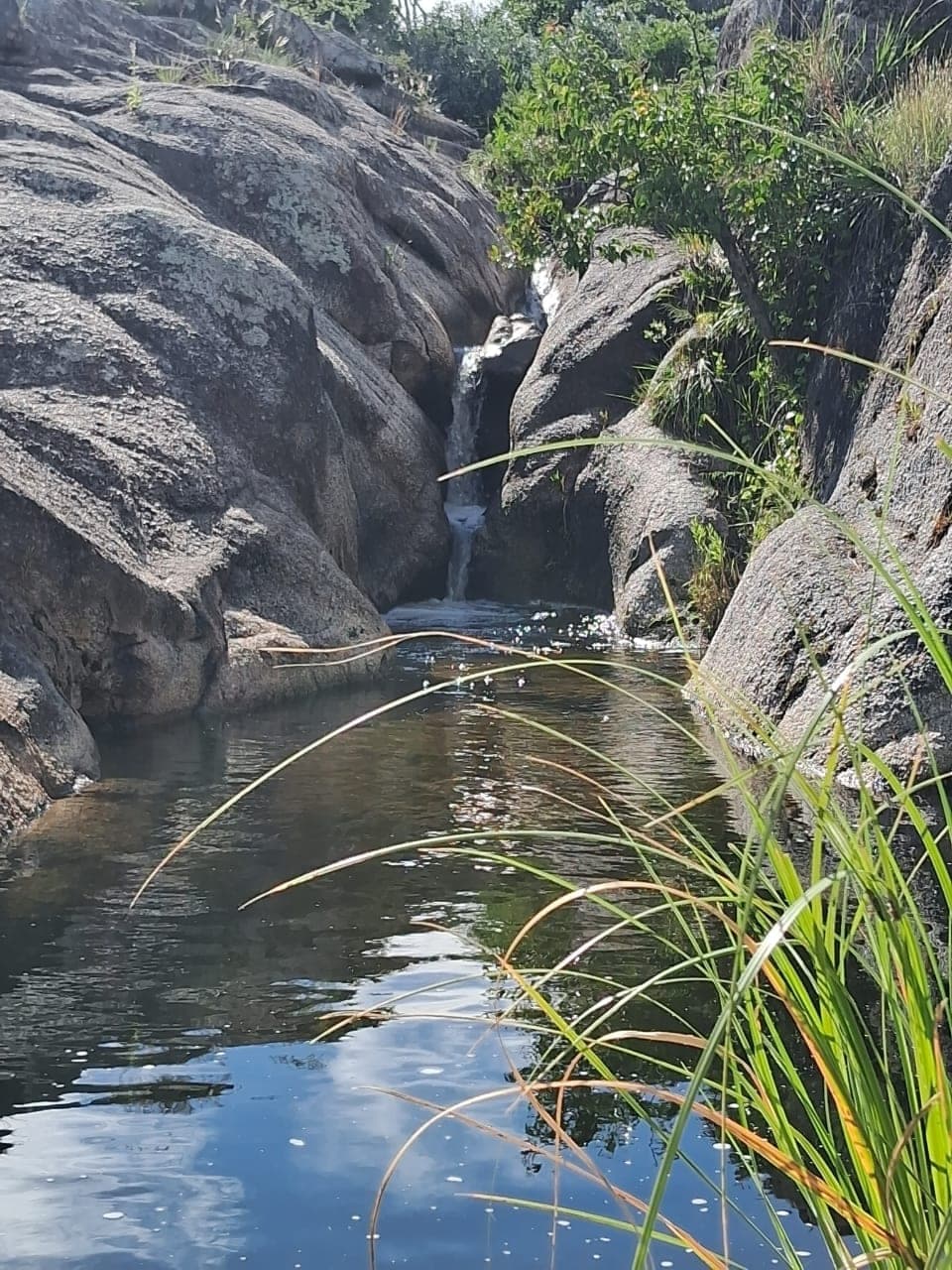 Foto de Parque Calmayo
