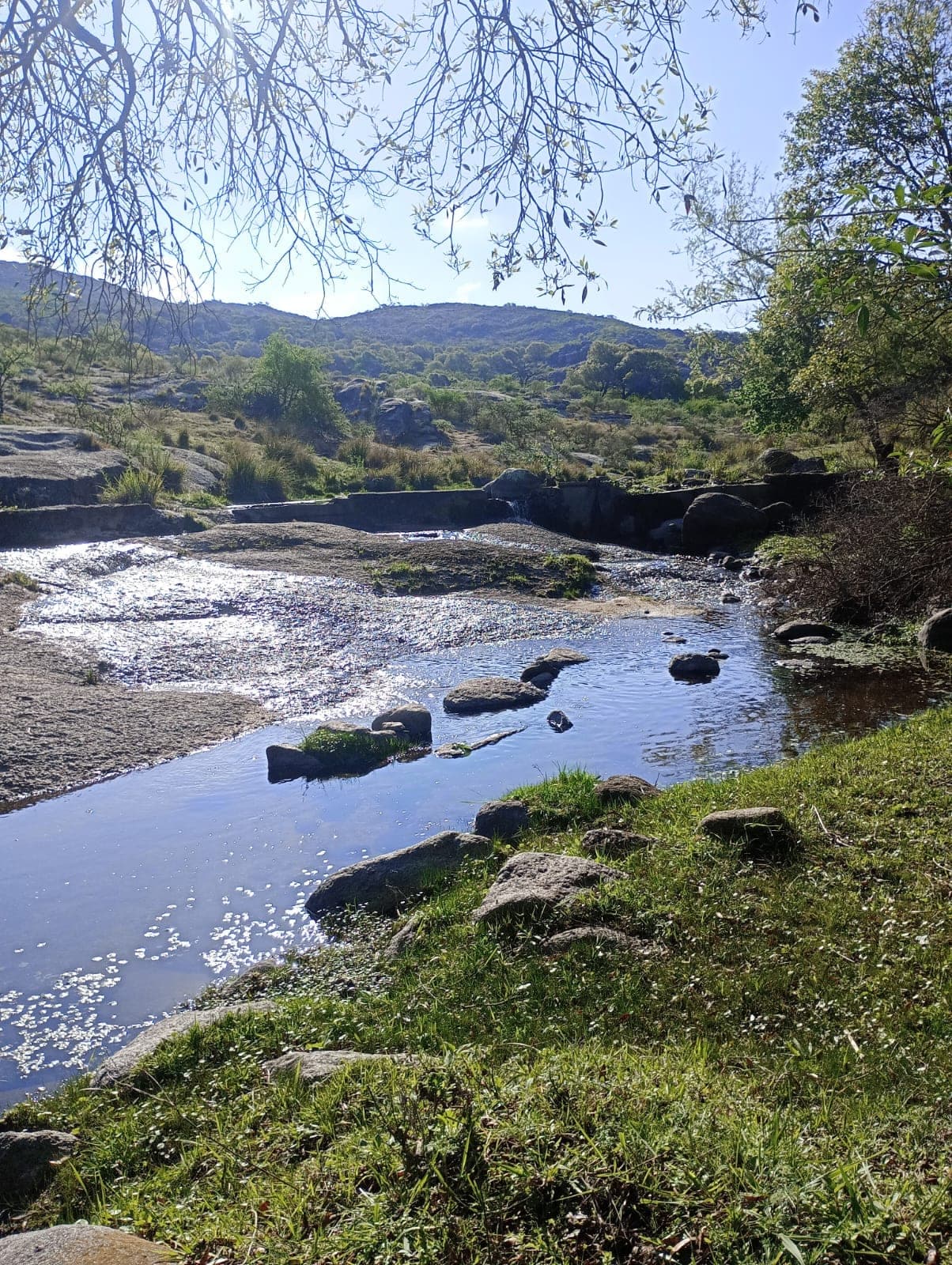 Foto de Parque Calmayo
