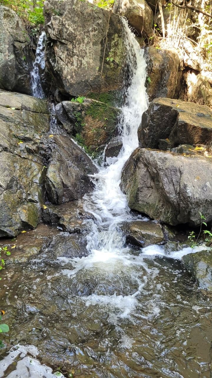Foto de Parque Calmayo